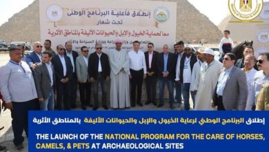 The lunch of the national program for the cher of horses , Camels, & Pets at archaeological sites