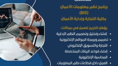تنسيق الجامعات ..تفاصيل برنامج BIS بجامعة حلوان "تجربة تعليمية في تكنولوجيا الأعمال"