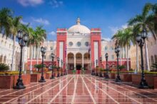الجامعة البريطانية في مصر تفعل شراكتها الاستراتيجية