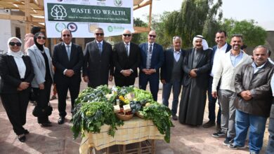 الجامعة البريطانية تدشن مشروعًا بحثيًا لتحويل المخلفات الزراعية إلى علف حيواني بجنوب سيناء