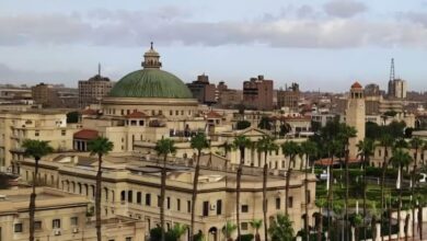 جامعة القاهرة تقود المشهد البحثي المصري .. ريادة علمية تتصدر 25 مجالًا وتدعم رؤية الدولة نحو اقتصاد المعرفة