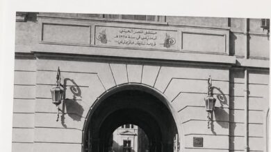 اثنا عشر عاماً في رحاب قصر العيني نهاية عهد كلوت بك وعودته إلى بلاده مع اعتلاء عباس الأول سدة الحكم
