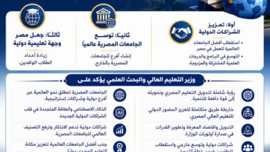 التعليم العالي:رؤية شاملة لتدويل التعليم العالي وتعزيز تنافسيته الدولية