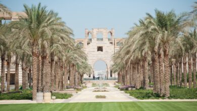 الجامعة الأمريكية بالقاهرة تطلق الإصدار الرابع من تقرير الاستدامة وتعلن أول سياسة للاستدامة البيئية