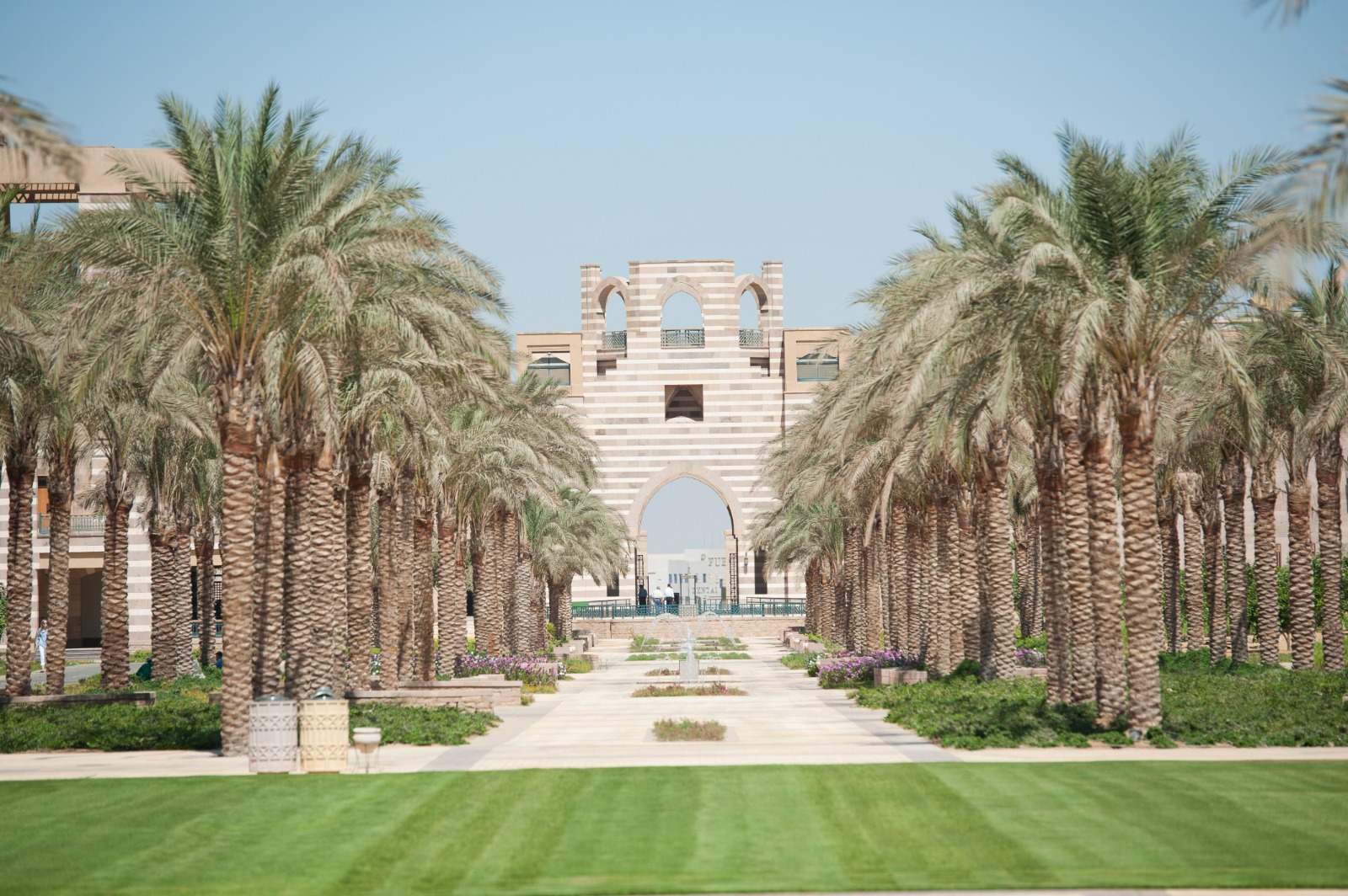 الجامعة الأمريكية بالقاهرة تطلق الإصدار الرابع من تقرير الاستدامة وتعلن أول سياسة للاستدامة البيئية