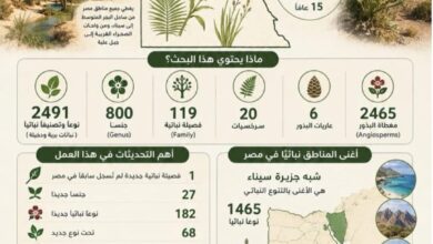 جامعة القاهرة توثق الثروة النباتية في أول تحديث للفلورا المصرية منذ 15 عام