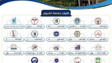 تنسيق الجامعات ٢٠٢٦ ..التعليم العالي تنشر إنفوجرافات تعريفية للكليات