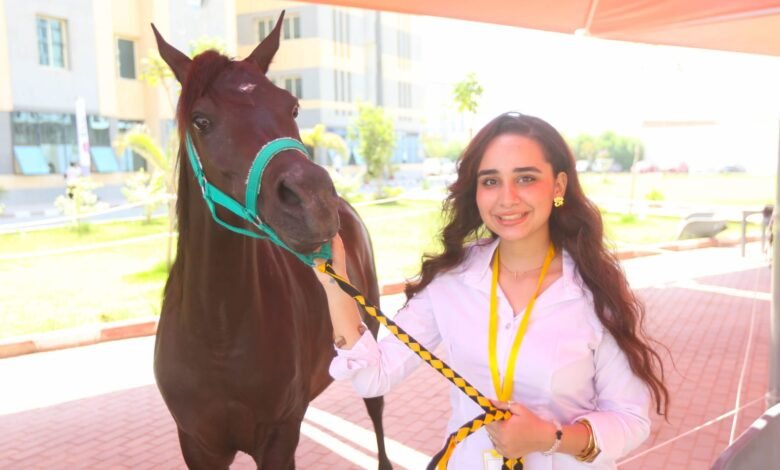 الجامعة المصرية الصينية تطلق المؤتمر الرابع لطب الخيول تحت شعار "التحديات والابتكار"