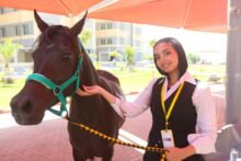 الجامعة المصرية الصينية تطلق المؤتمر الرابع لطب الخيول تحت شعار "التحديات والابتكار"