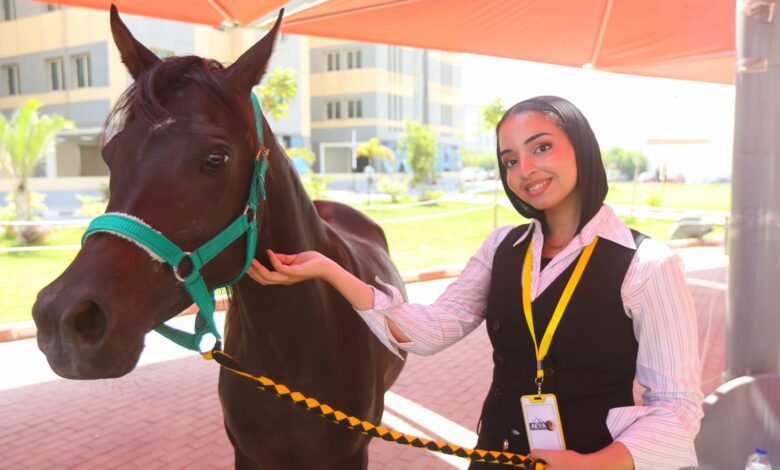 الجامعة المصرية الصينية تطلق المؤتمر الرابع لطب الخيول تحت شعار "التحديات والابتكار"