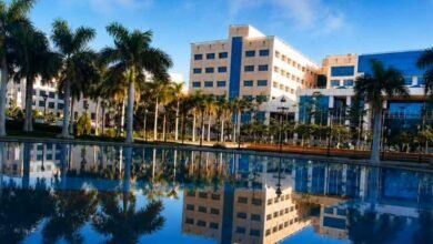 جامعة ٦ أكتوبر الثانية إفريقيًا فى تصنيف UI GreenMetric للاستدامة