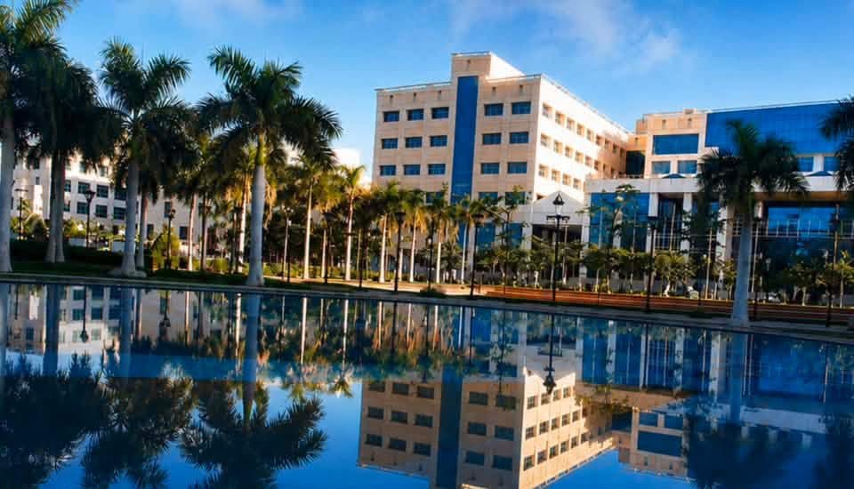 جامعة ٦ أكتوبر الثانية إفريقيًا فى تصنيف UI GreenMetric للاستدامة