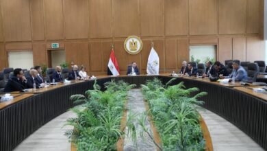 وزير التعليم العالي والقائم بعمل وزير الثقافة يبحث تعزيز التعاون مع شركة فيليبس