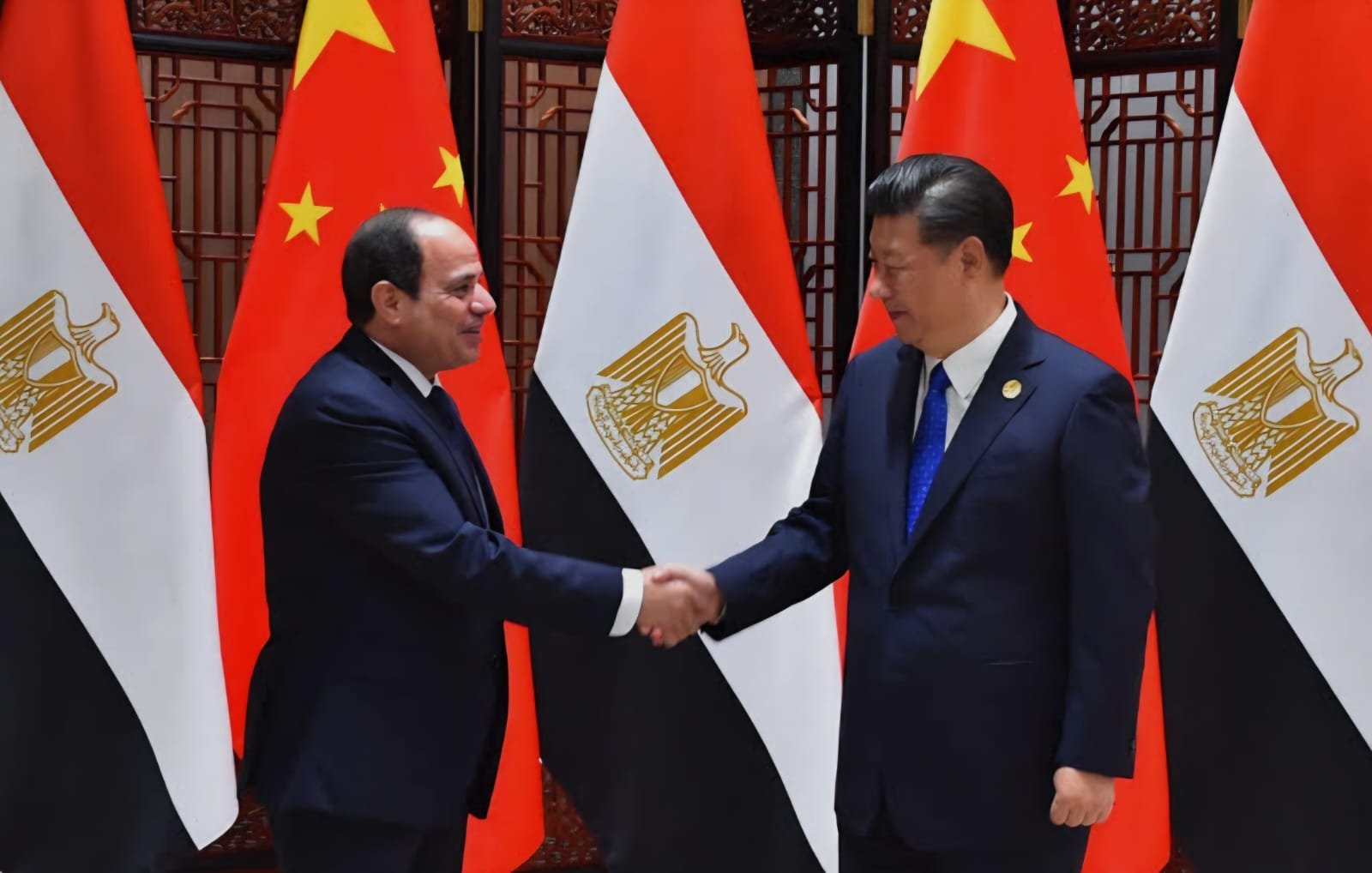 开罗大学热烈欢迎中国国家主席习近平对阿拉伯埃及共和国的历史性访问