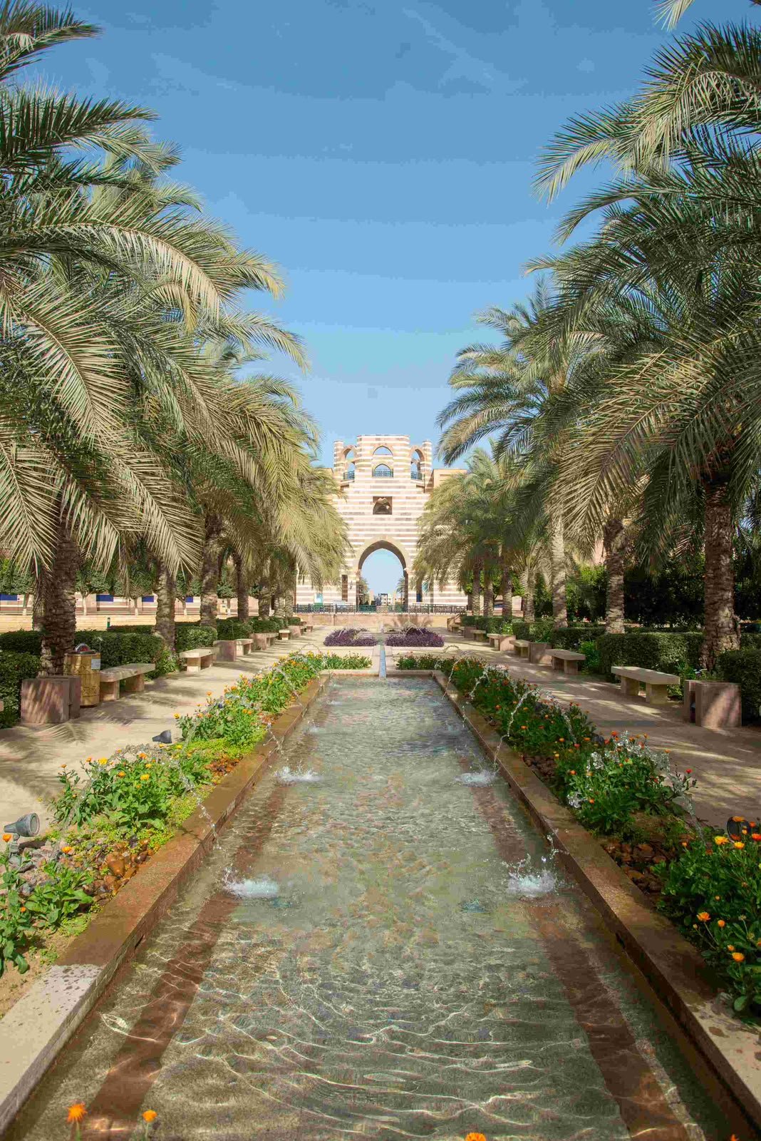 الجامعة الأمريكية بالقاهرة تقود برنامجًا للتدريب على قضايا المناخ في أفريقيا